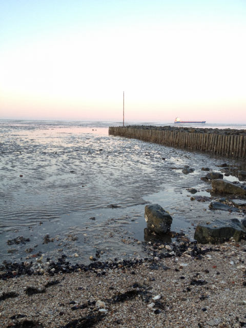 Nordsee II